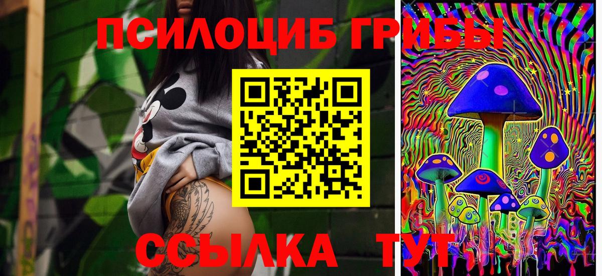 Псилоцибиновые грибы прущие грибы Калуга